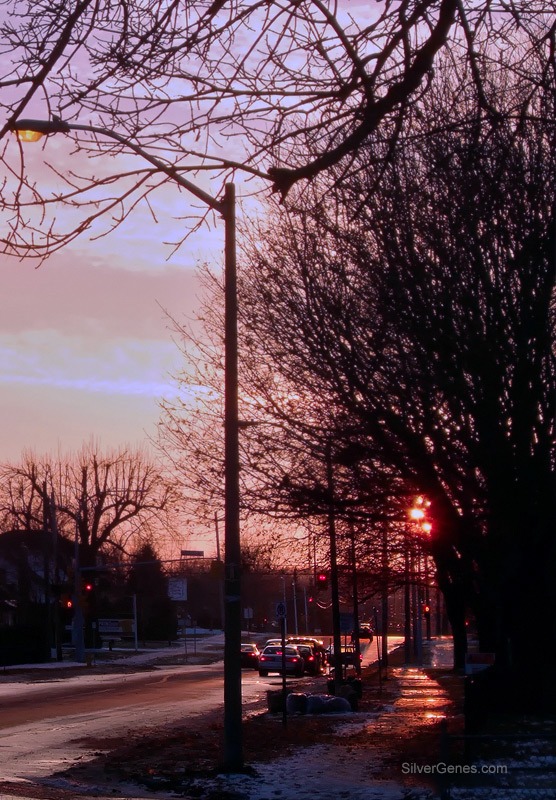 Winter Light