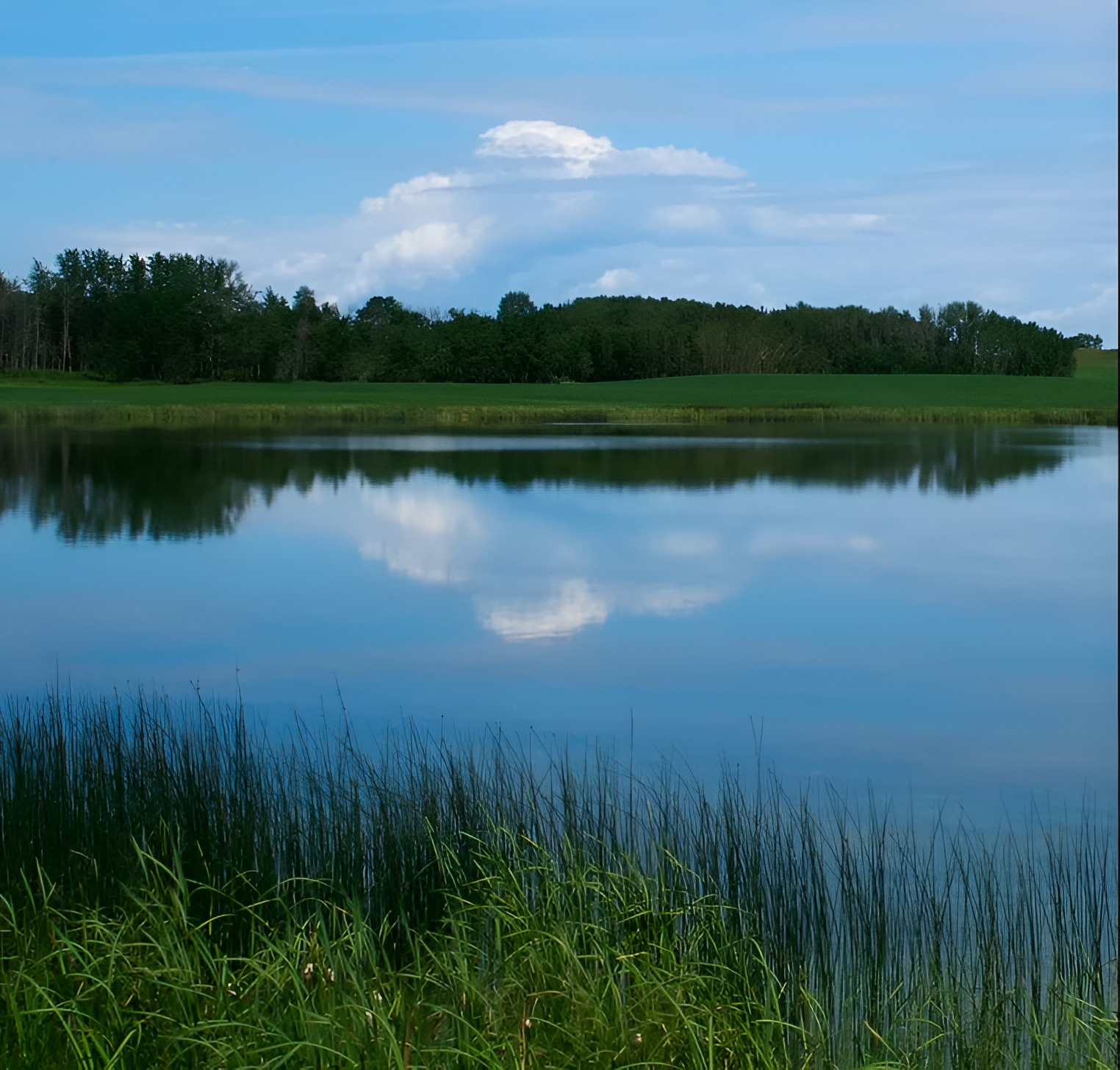 Minnedosa